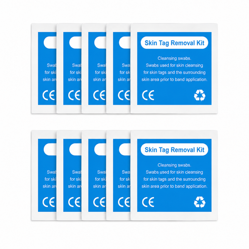 Antibacterial Wipes (10pcs)